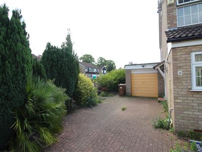 Picture 13